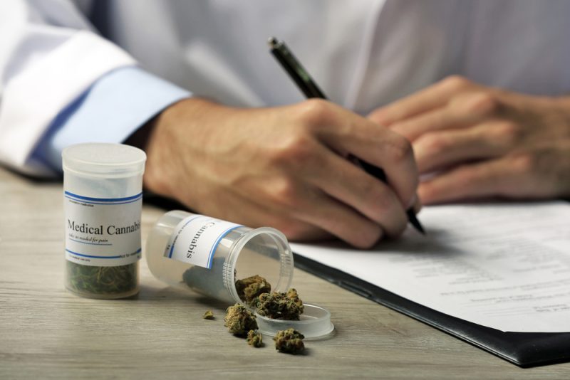 Les législateurs européens veulent s'attaquer aux obstacles relatifs à l'utilisation du cannabis thérapeutique
