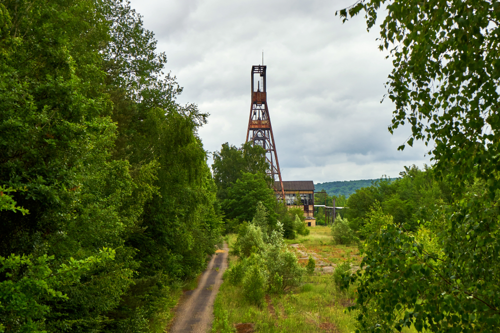 shutterstock_1197296881