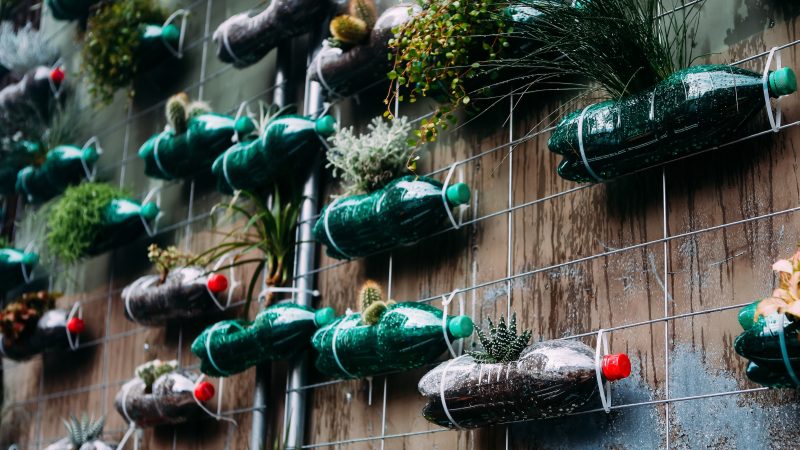 Vers du plastique 100 % recyclé ou renouvelable dans la filière des softs d’ici à 2030