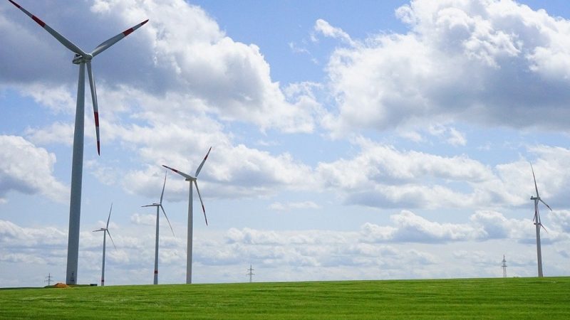 Electricité dans l'UE : la part de l'éolien à 16% en 2020, malgré le Covid-19