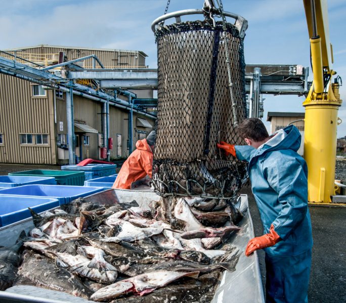 Quotas de pêche: l'UE "confiante" concernant un accord d'ici fin mars avec Londres