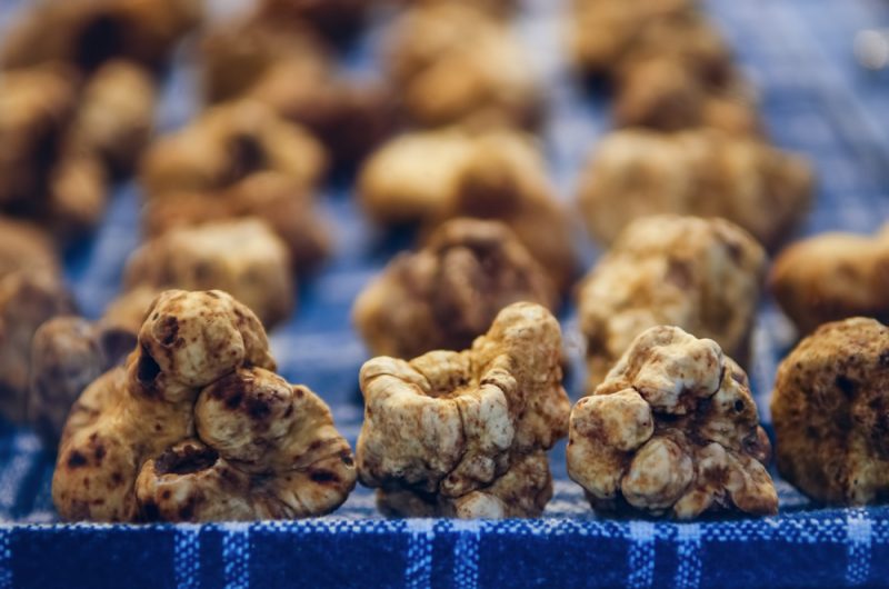 Des truffes blanches cultivées en France, une « première mondiale »
