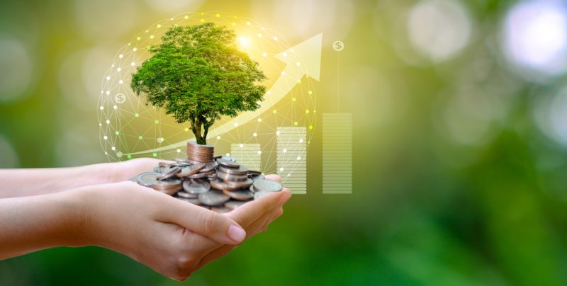 Fonds régionaux : relance économique ou relance verte ?