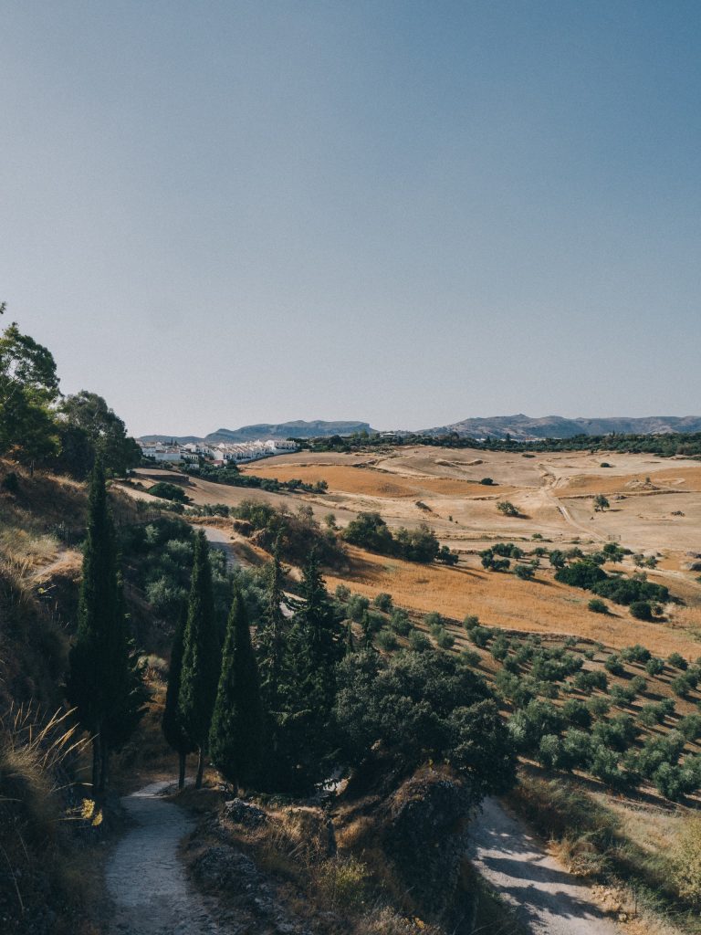 luca-dugaro-5joA3IwTVgU-unsplash