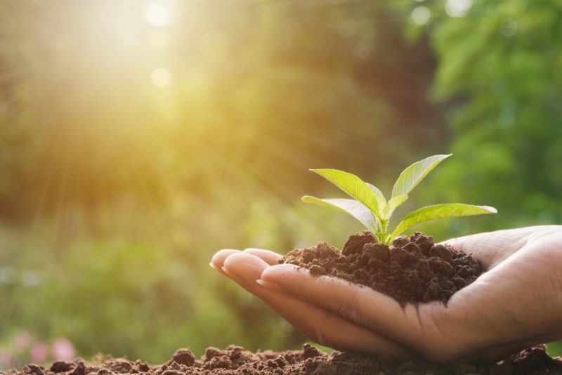 Vers une agriculture durable : entre la PAC et le Pacte vert pour l’Europe