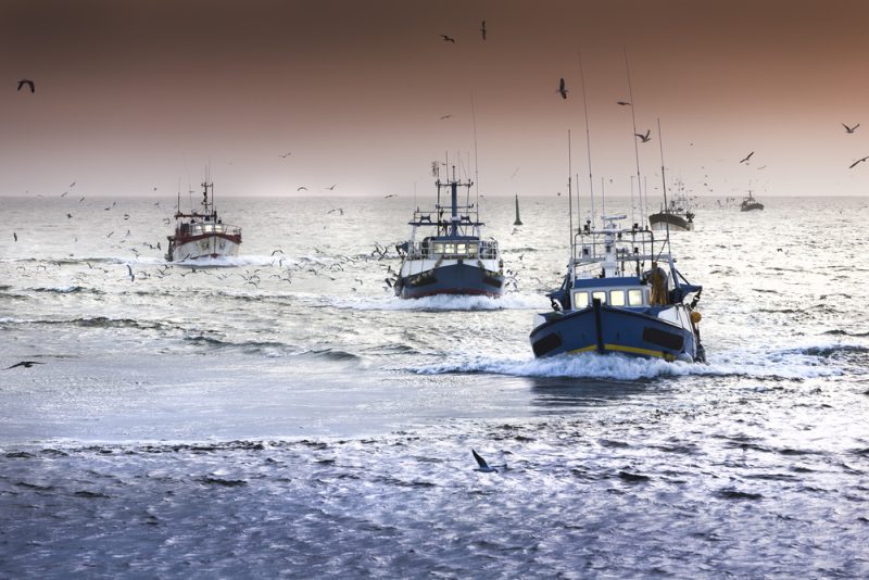 Nouveau "plan B" dans les négociations sur la pêche UE-UK