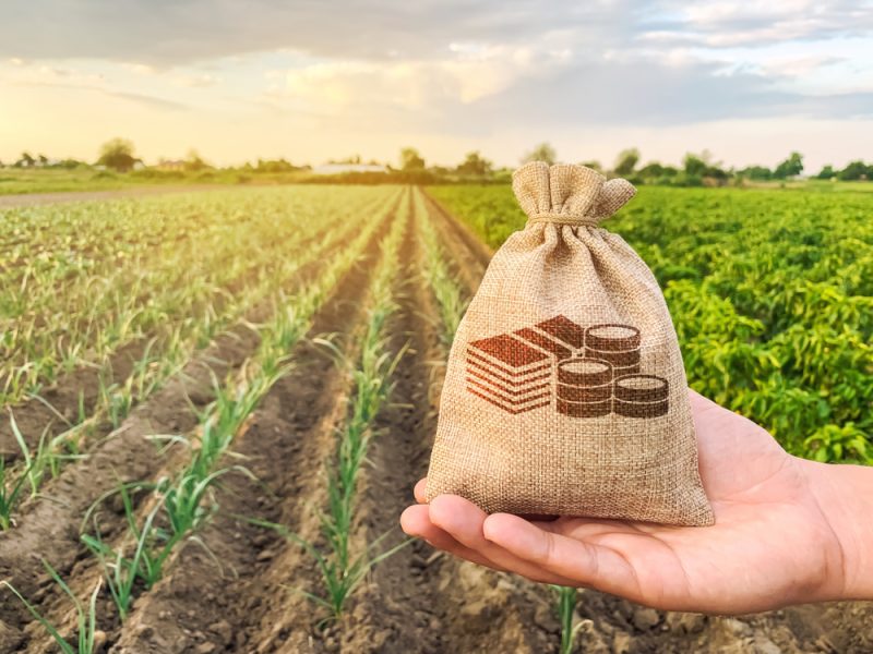 Négociations commerciales : des propositions pour préserver le revenu des agriculteurs