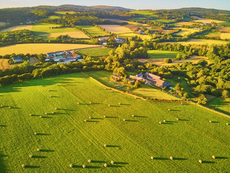 Loi climat : Julien Denormandie revient sur les points qui concernent le monde agricole