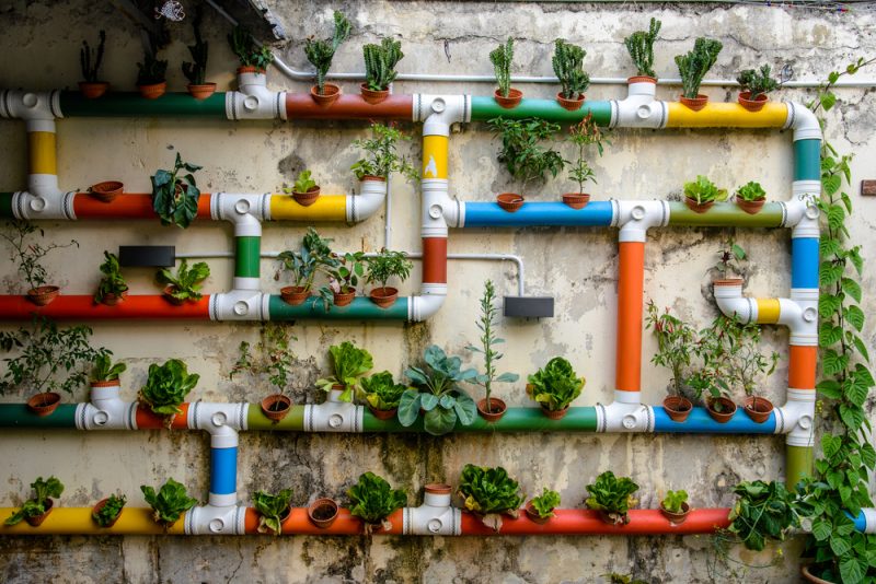 La Métropole du Grand Paris et la Chambre d'Agriculture d'Île-de-France joignent leurs forces pour une "agriculture métropolitaine durable"