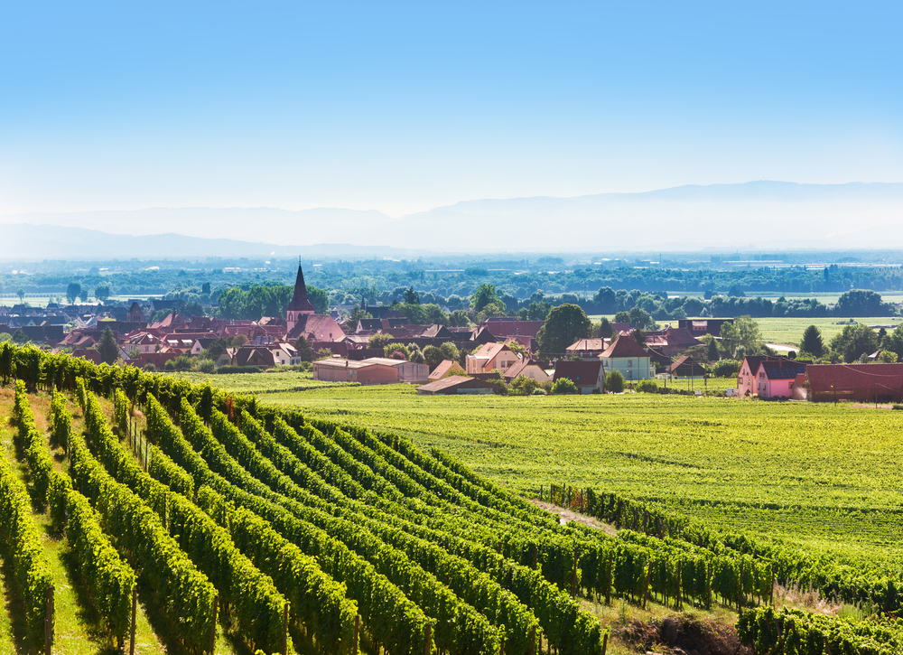 Aerial,View,Of,Alsace,Fruit,Valley,At,Kaysersberg,And,Colmar