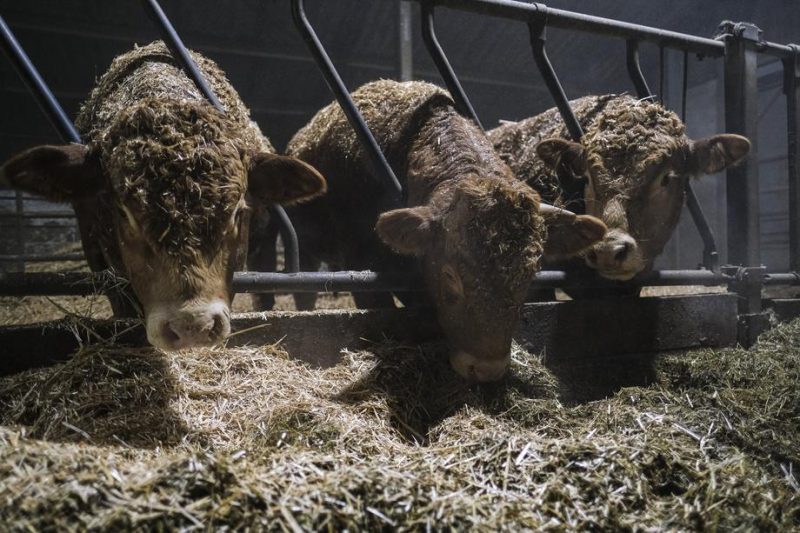 Des clauses miroirs pour éviter la concurrence déloyale en agriculture