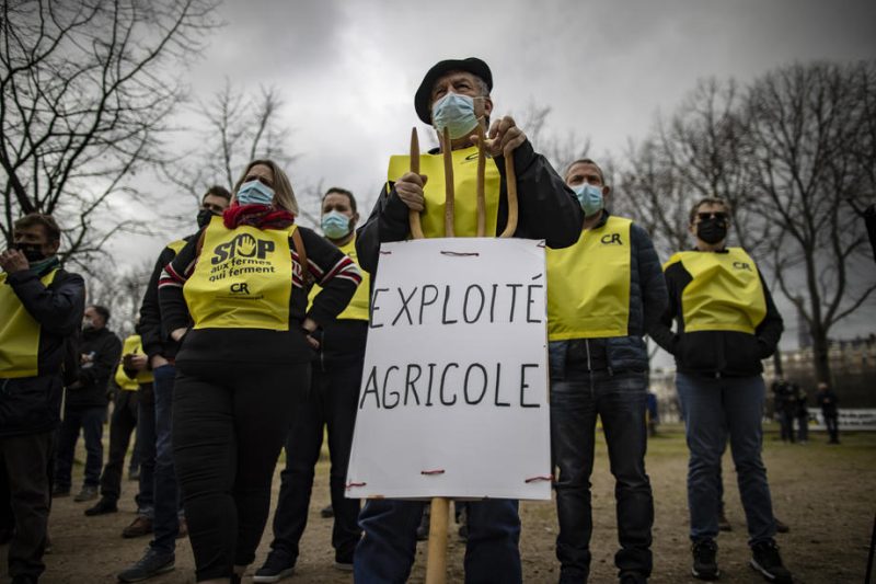 "Célébrés" par le gouvernement, les agriculteurs français dénoncent le "malaise agricole"