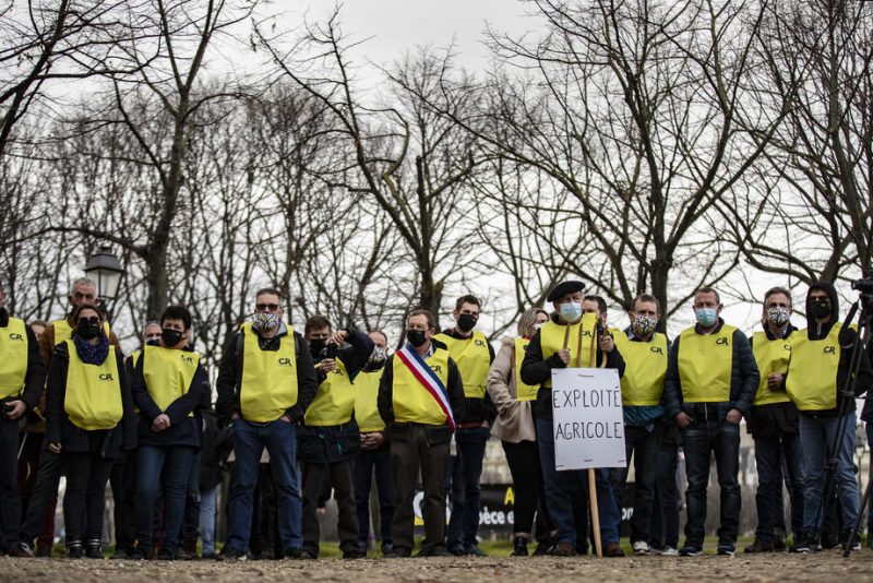 Réforme de la PAC : la peur des éleveurs bovins français d’être rayés de la carte