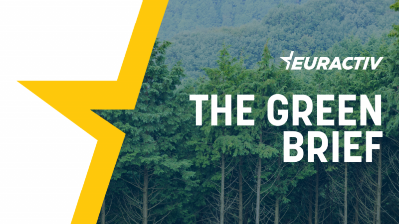 Le Green Brief: l’efficacité énergétique ou l’échec bien-aimé de l’UE