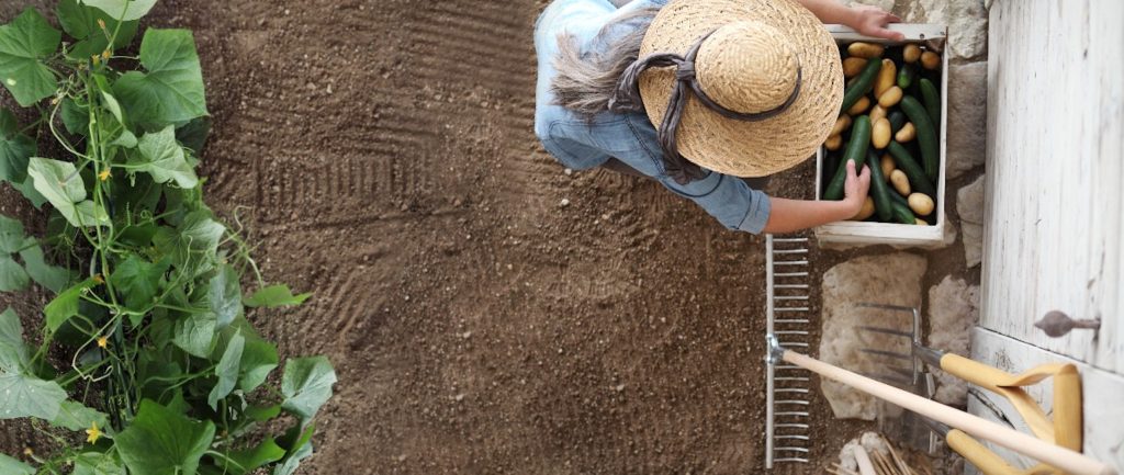 La stratégie « De la ferme à la fourchette » en France : cultiver et consommer bio