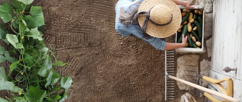 La stratégie « De la ferme à la fourchette » en France : cultiver et consommer bio