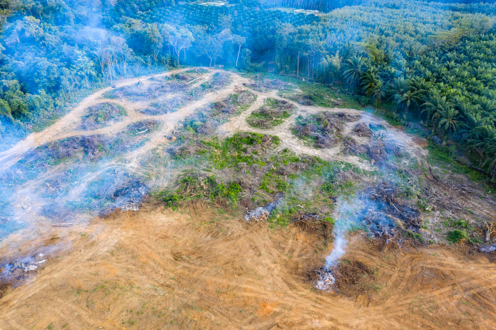 Aerial,View,Of,Deforestation.,Rainforest,Being,Removed,To,Make,Way