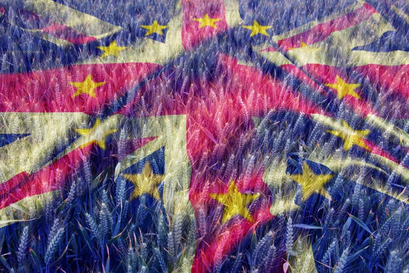 L’avenir du secteur agroalimentaire à la suite du Brexit