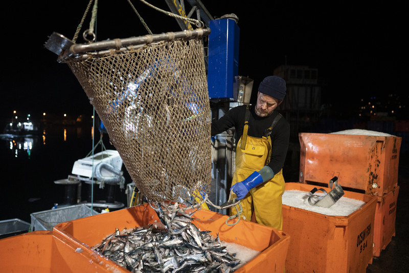 Brexit : autorisations prolongées pour les pêcheurs français à Jersey et Guernesey