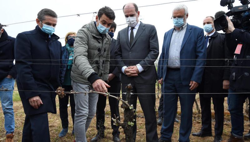 Épisode de gel : Jean Castex promet 1 milliard d'euros pour soutenir les agriculteurs touchés