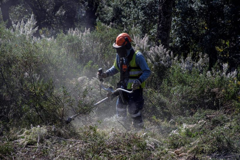 L'Espagne et la France unies contre le feu à la frontière