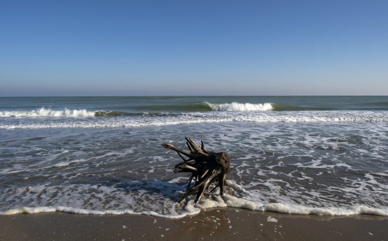 Le gouvernement bulgare tente de rassurer le secteur du tourisme après une fuite de pétrole en mer Noire