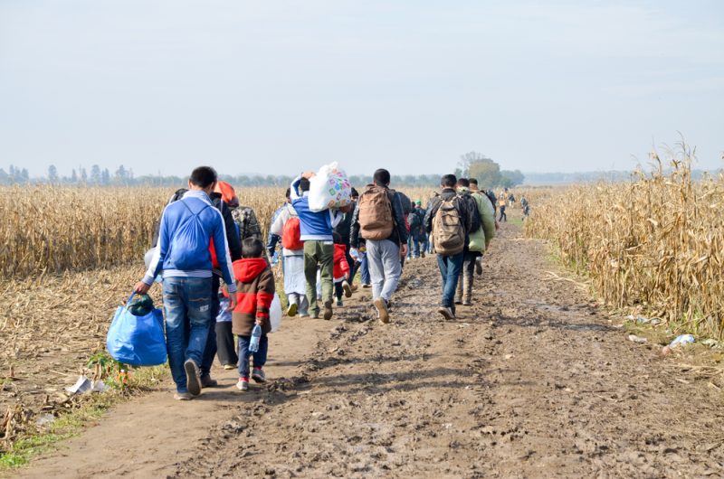 Deux fois plus de migrants illégaux sur la « route des Balkans » cette année