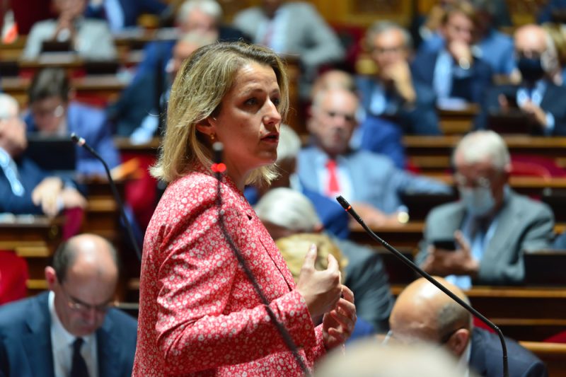 Loi climat : le Sénat inscrit dans le texte le respect des engagements internationaux