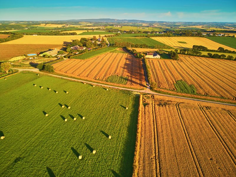 Élections régionales : les acteurs du monde agricole appellent les élus à soutenir une transition verte et juste