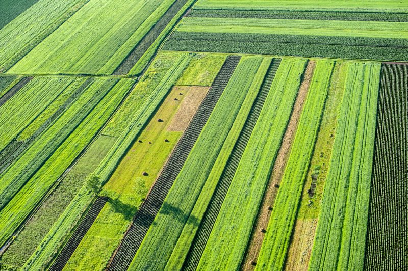 L'Assemblée nationale adopte un texte pour lutter contre l'accaparement des terres agricoles