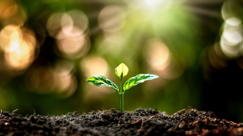 Des agriculteurs appellent à la reconnaissance de l'Indice de Régénération dans la future PAC