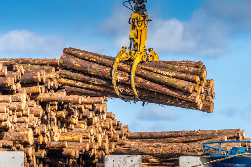 Castex annonce 100 millions supplémentaires pour la filière bois