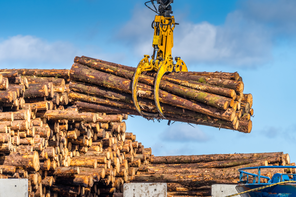 Timber,Export,Or,Import,,Loading,On,Cargo,Ship,In,Wicklow