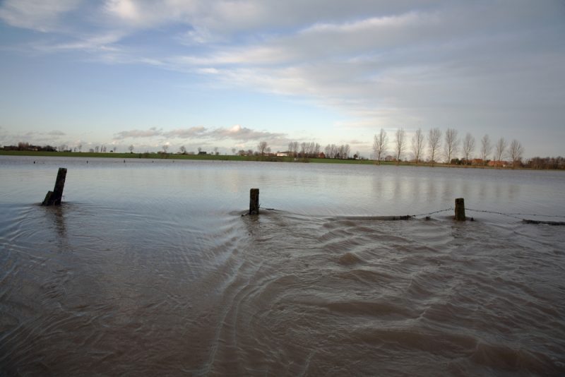 Les inondations ont "réduit à néant" tout espoir de récoltes fructueuses