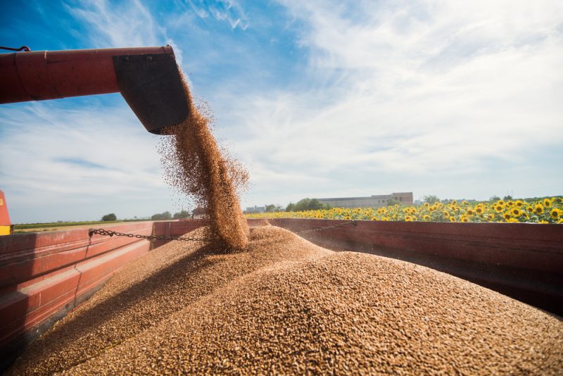 Pratiques déloyales dans l'agroalimentaire : 12 pays de l'UE, dont la France, en infraction