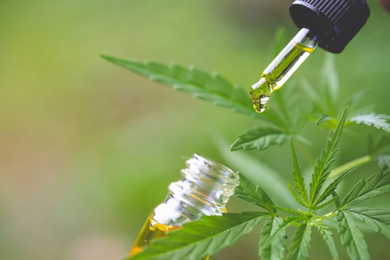 Au Royaume-Uni, le marché du cannabis légal pousse à grande vitesse