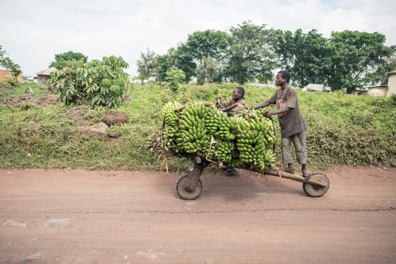 La RDC veut exporter ses produits agricoles vers la Chine, l'Europe et les Etats-Unis