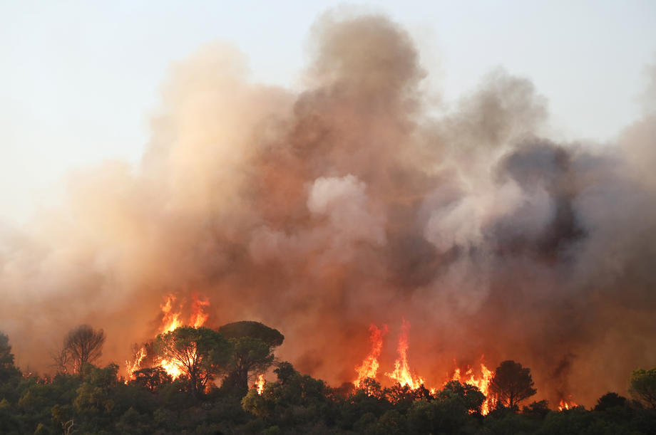 Wildfires in southern France