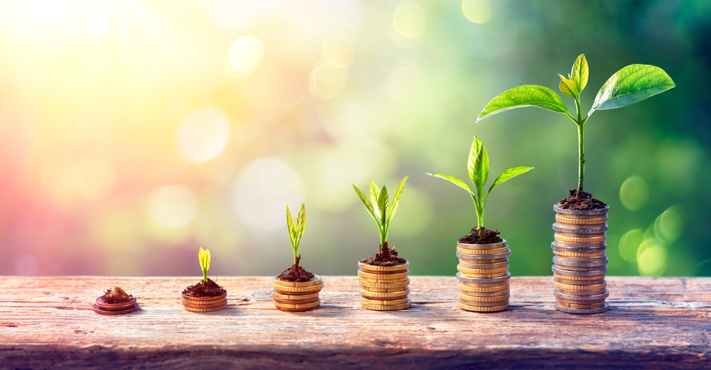 Money,Growth,Concept,-,Plants,On,Coin,Stacks,In,Increase