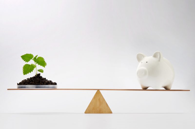 Que font les banques centrales pour la protection du climat ?