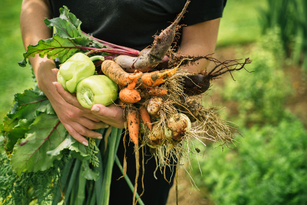 Women,Holding,Delicious,Fresh,Vegetables