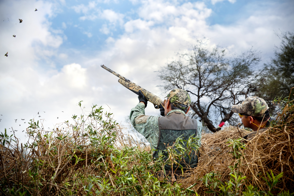 Father,Sun,Hunting