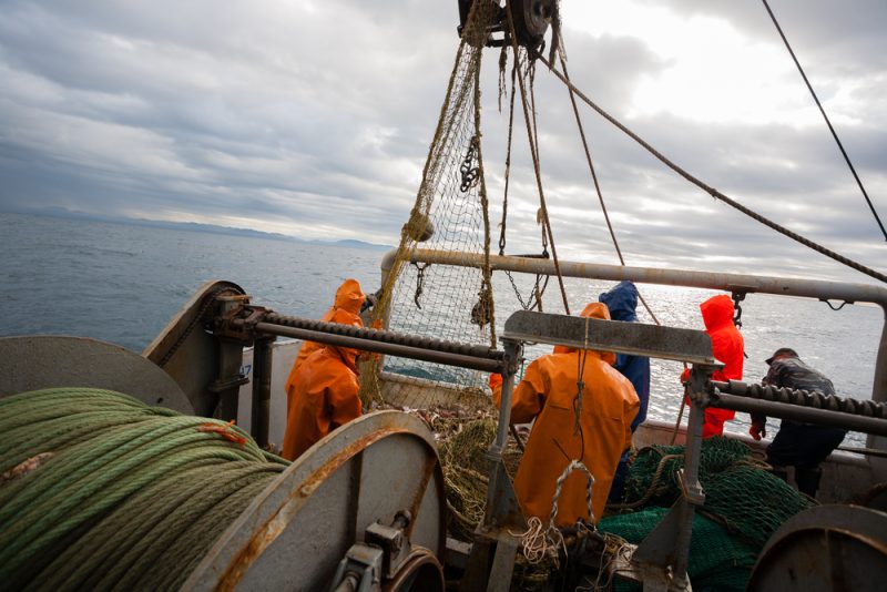 Parc éolien en baie de Saint-Brieuc : les pêcheurs saisissent le PNF