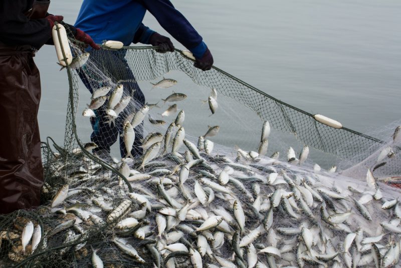 Accès aux eaux de pêche : Paris prêt à des rétorsions si Londres tergiverse