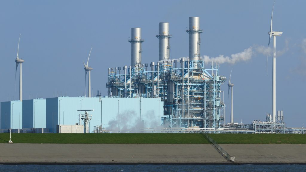 Multi-fuel plant