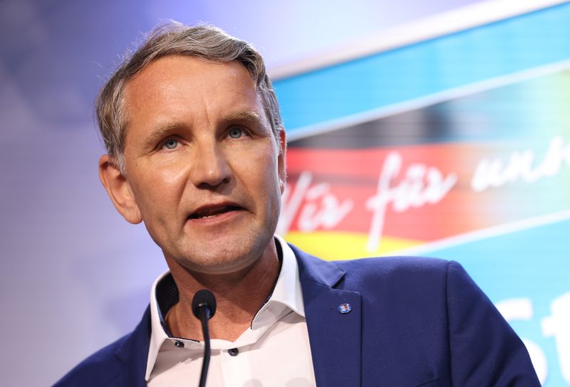 Extrême-droite allemande : Querelles et défaites électorales alors que l’AfD vire à droite