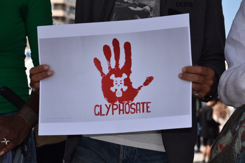 PFUE : 37 ONG françaises demandent à Emmanuel Macron de faire interdire le glyphosate en Europe dès 2023