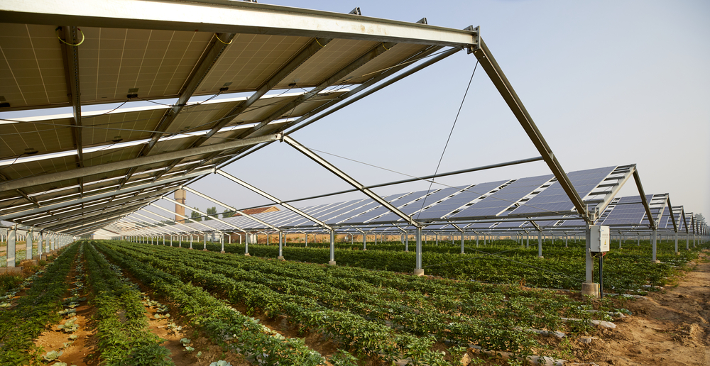 Solar,Photovoltaic,Panels,And,Planting,Base