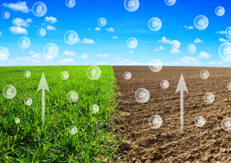 Les agriculteurs voient des perspectives dans l’agriculture du carbone, mais doivent être guidés par le marché