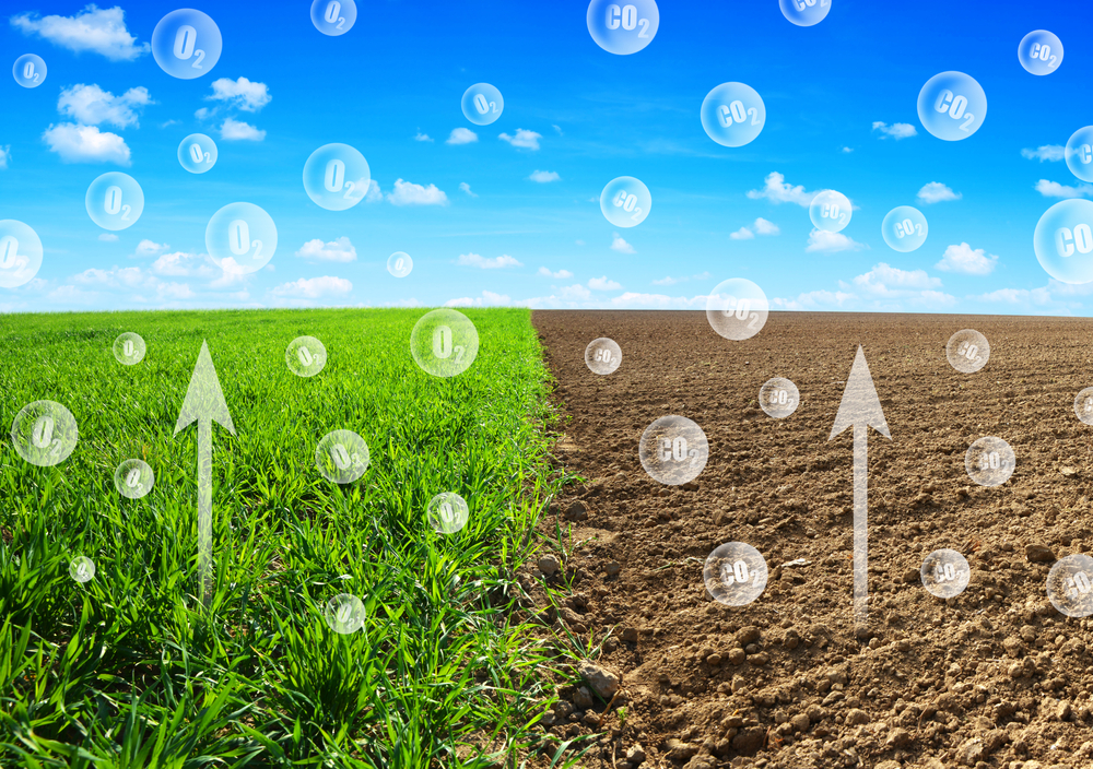 Oxygen,Release,From,The,Wheat,Field,And,Carbon,Dioxide,Escaping